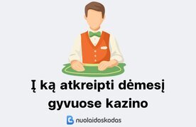 Svarbiausi aspektai renkantis gyvus kazino