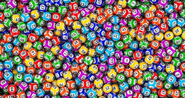 lošti bingo gyvai